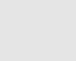 Singular XYZ Y1 RTK